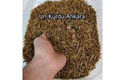 Ankara Un Kurdu