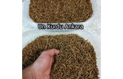 Ankarada Un Kurdu Satan Yer