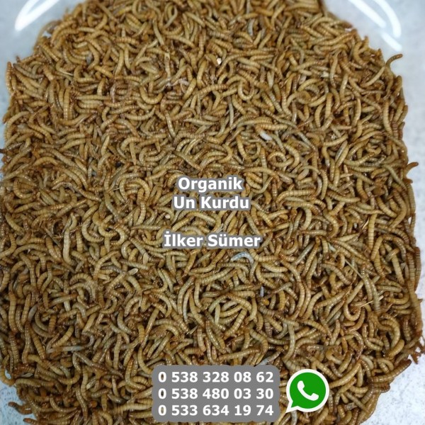 Un Kurdu 100 Gram 